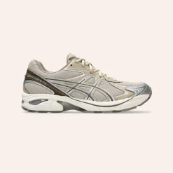 Asics GT-2160 Feather Grey/Brown Storm W