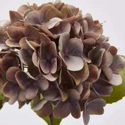 EDG 2 ass.antikk rosa toner