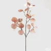 EDG Blomst Eucalipto H82 Light Peach