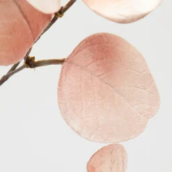 EDG Blomst Eucalipto H82 Light Peach