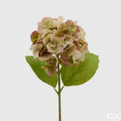 EDG Blomst Ortensia H50 Green/Pink