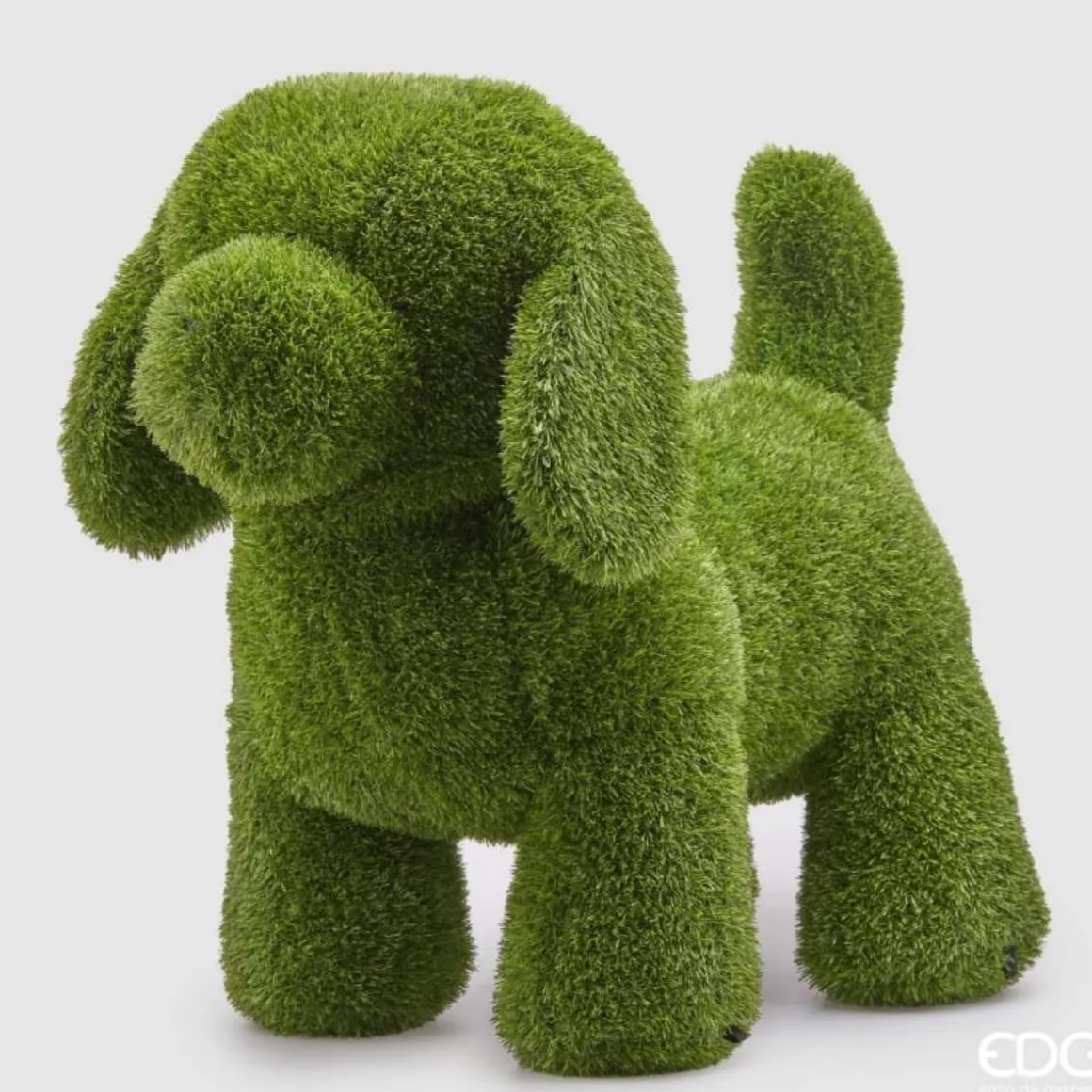 EDG Decora Erba Cane H68
