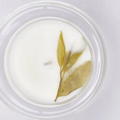 Edg Duftlys Aloe/Sea Salt