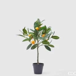 EDG Mandarino Con Vaso H.56