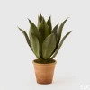 EDG Plante Agave Pianta m/Vase H51 Green