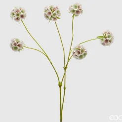 EDG Scabiosa Ramo X6 H.66 D.33