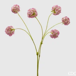 EDG Scabiosa Ramo X6 H.66 D.33