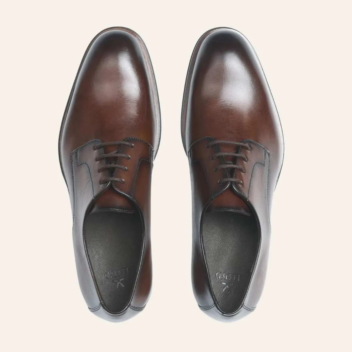 Lloyd Core Plus 110 Cigar M