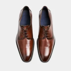 Lloyd Gideon Dressko Brandy M