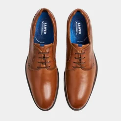Lloyd Milan Dressko Cognac M