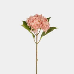 Mr. Plant Hortensia rosa 40cm