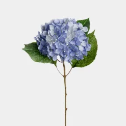 Mr. Plant 1 stk Hortensia 40cm, blå