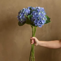 Mr. Plant 1 stk Hortensia 40cm, blå