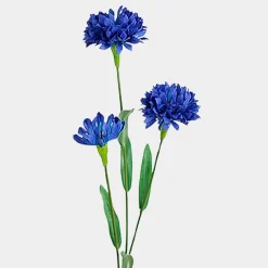 Mr. Plant Blåklint 50cm