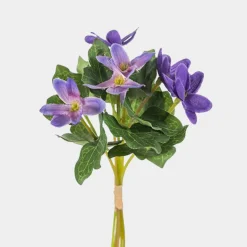 Mr. Plant Blåveis 18cm