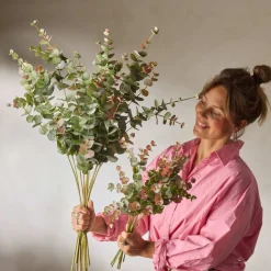 Mr. Plant Eucalyptus 60cm