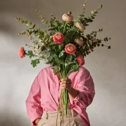 Mr. Plant Eucalyptus 60cm