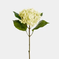 Mr. Plant Hortensia 40cm Hvit