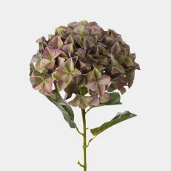 Mr. Plant Hortensia 110cm, lilla
