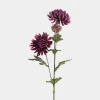 Mr. Plant krysantemum 60cm