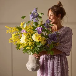 Mr. Plant Mimosa 75cm Gul