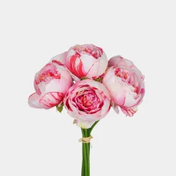 Mr. Plant Pionbukett 30cm Pink