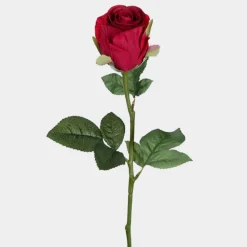 Mr. Plant Rose 50cm Rød