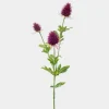 Mr. Plant Tistel 60cm lilla