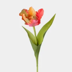 Mr. Plant Tulipan 37cm Rosa