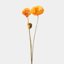 Mr. Plant Vallmo 75cm Oransje