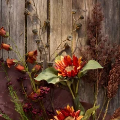 Mr.Plant Asparges 75cm