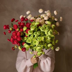 Mr.Plant Chrysantemum 60cm