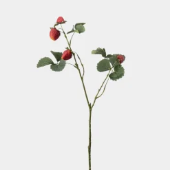 Mr.Plant Jordbærkvist 50cm