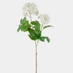 Mr.Plant Olvon 60cm