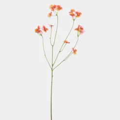 Mr.Plant Pense Rosa 63cm