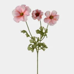 Mr.Plant ranunkel 54cm rosa