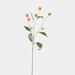 Mr.Plant Tistel 58cm