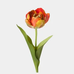 Mr.Plant Tulipan Orange 36cm