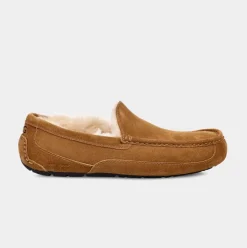 UGG Tøffel Ascot Chestnut M